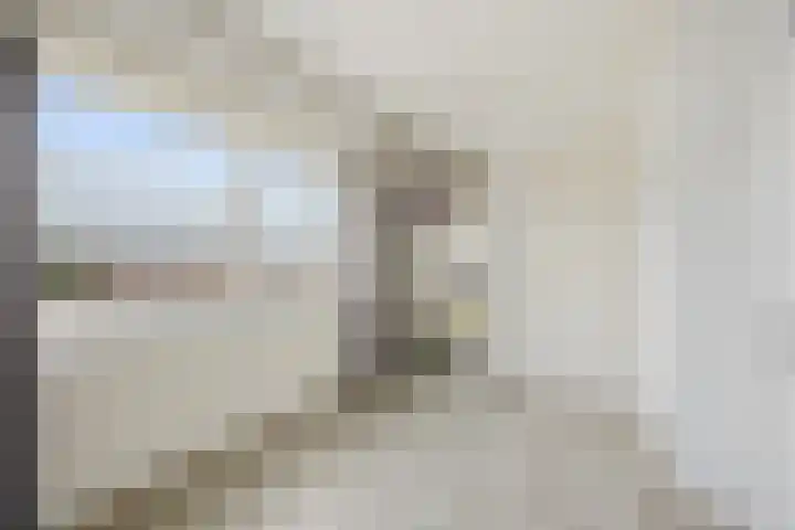 Emiliastraat 19 Geertruidenberg thumbnail 18