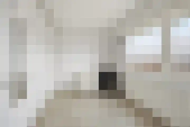 Emiliastraat 19 Geertruidenberg thumbnail 19