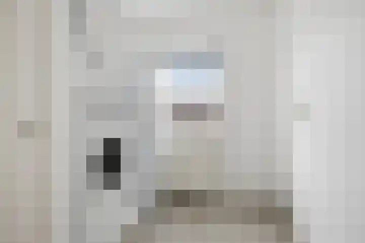Emiliastraat 19 Geertruidenberg thumbnail 21