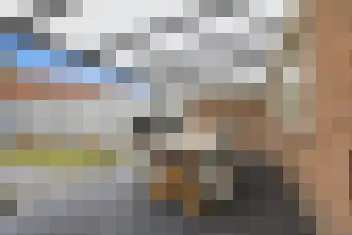 Emiliastraat 19 Geertruidenberg thumbnail 30