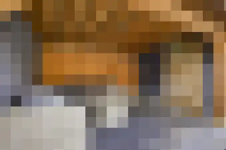 Emiliastraat 19 Geertruidenberg thumbnail 31