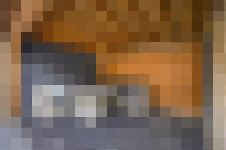 Emiliastraat 19 Geertruidenberg thumbnail 32