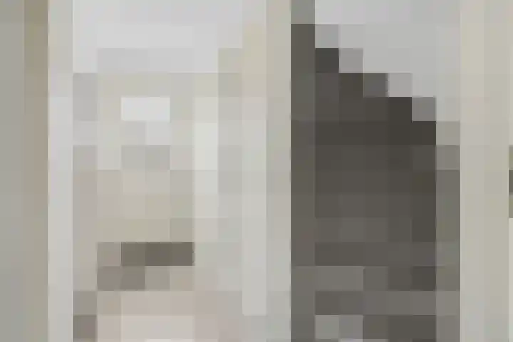 Emiliastraat 19 Geertruidenberg thumbnail 6