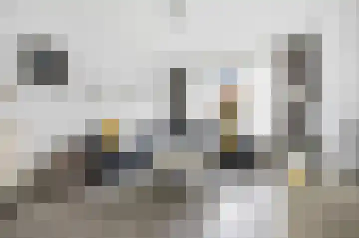 Emiliastraat 19 Geertruidenberg thumbnail 7