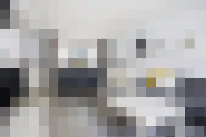 Emiliastraat 19 Geertruidenberg thumbnail 8