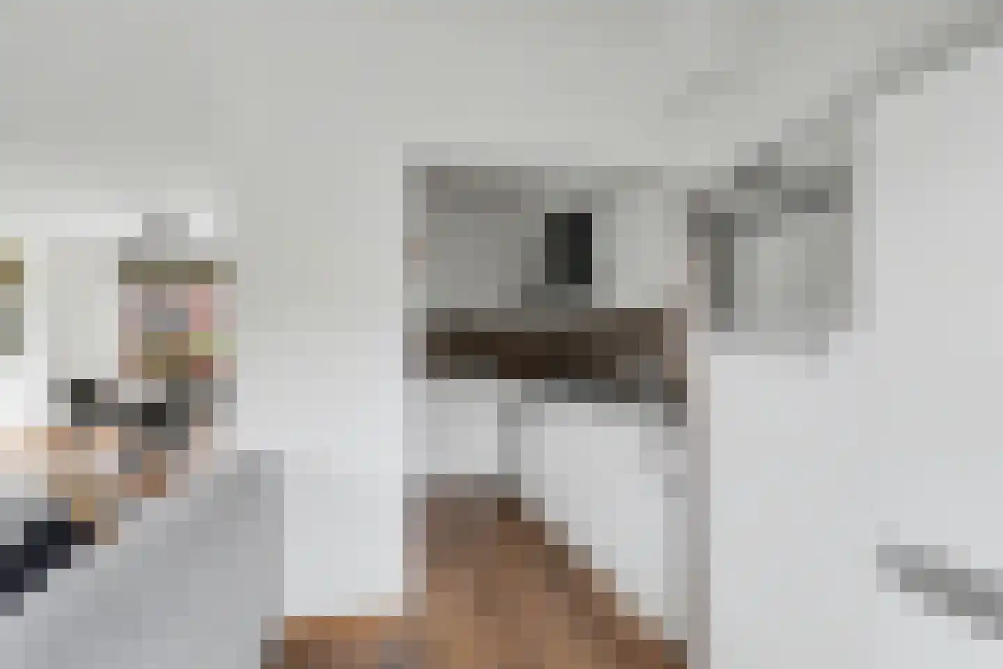 Emiliastraat 25 Geertruidenberg thumbnail 10