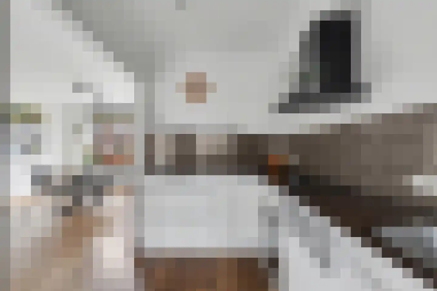 Emiliastraat 25 Geertruidenberg thumbnail 12