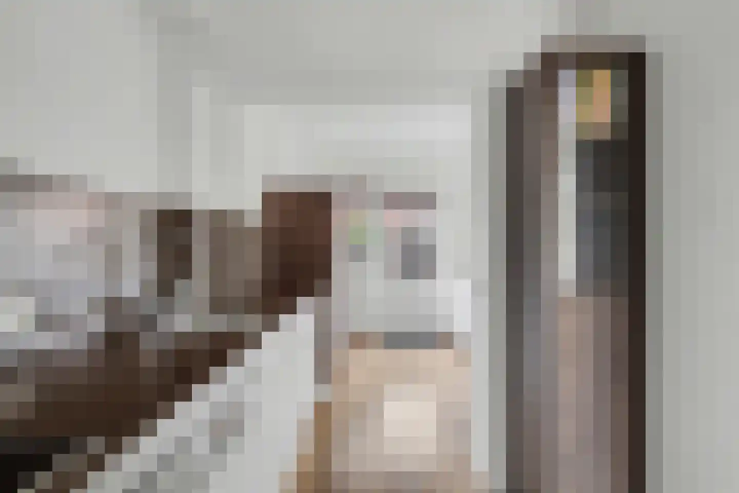 Emiliastraat 25 Geertruidenberg thumbnail 13