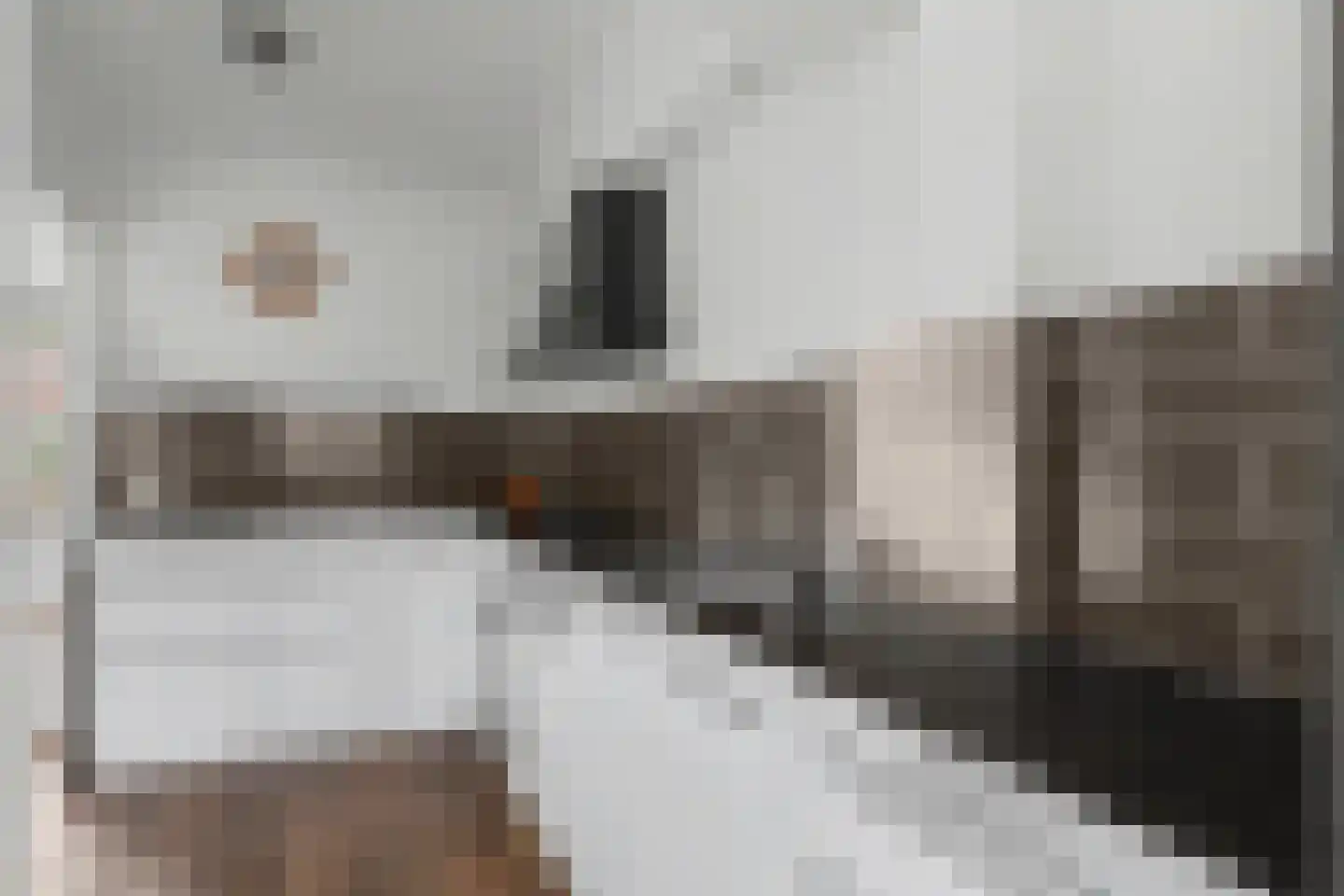 Emiliastraat 25 Geertruidenberg thumbnail 14