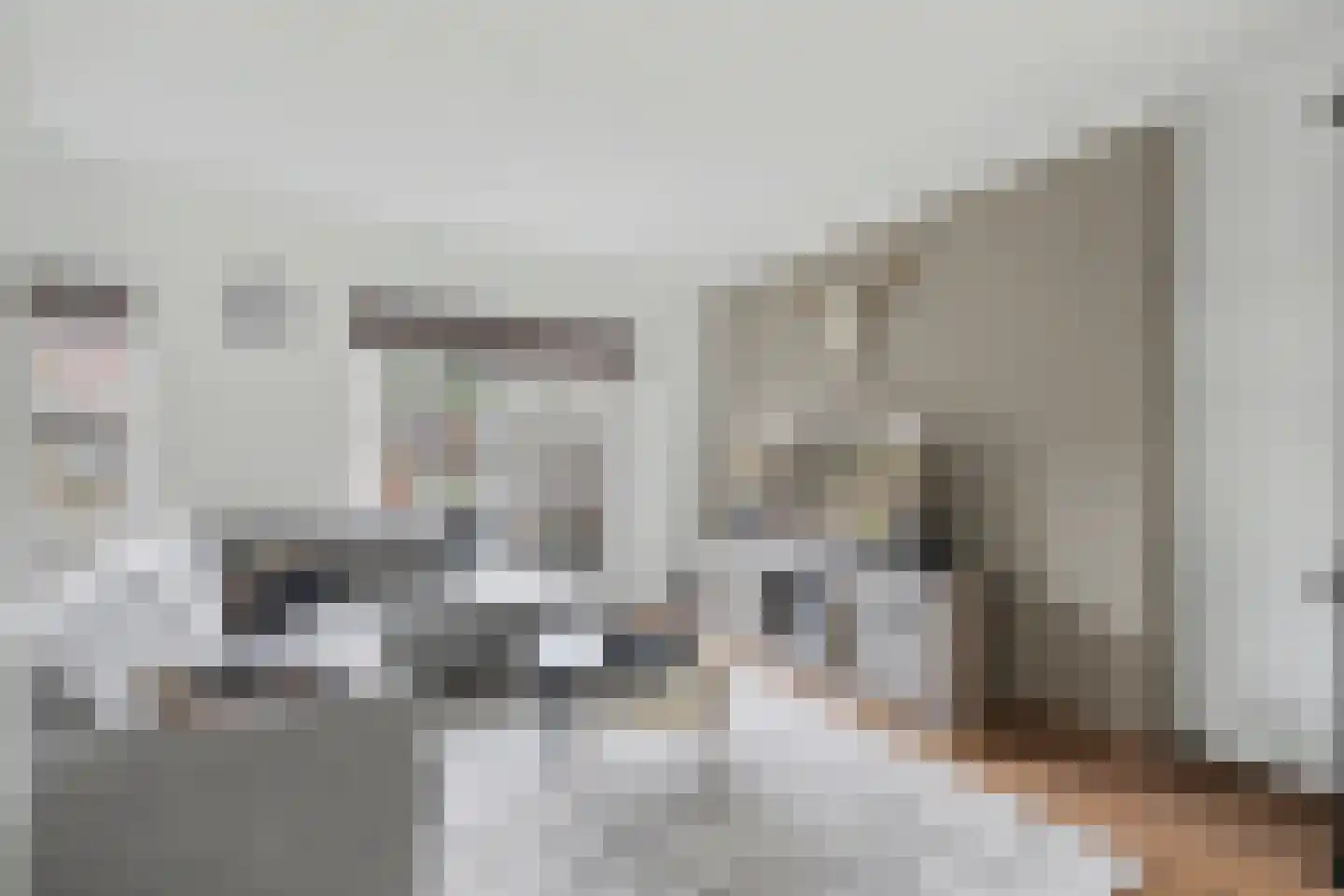 Emiliastraat 25 Geertruidenberg thumbnail 4