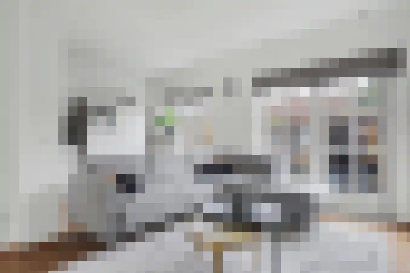 Emiliastraat 25 Geertruidenberg thumbnail 5