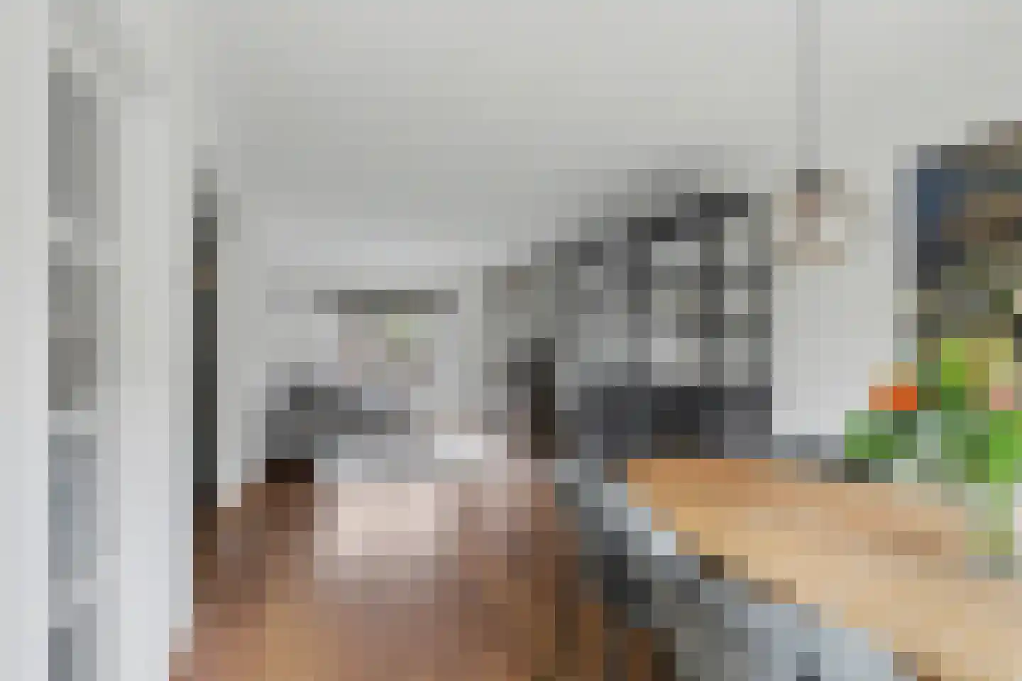 Emiliastraat 25 Geertruidenberg thumbnail 8