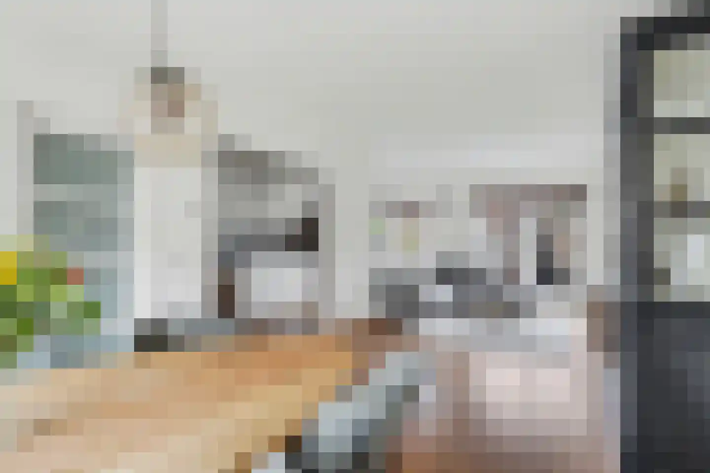 Emiliastraat 25 Geertruidenberg thumbnail 9