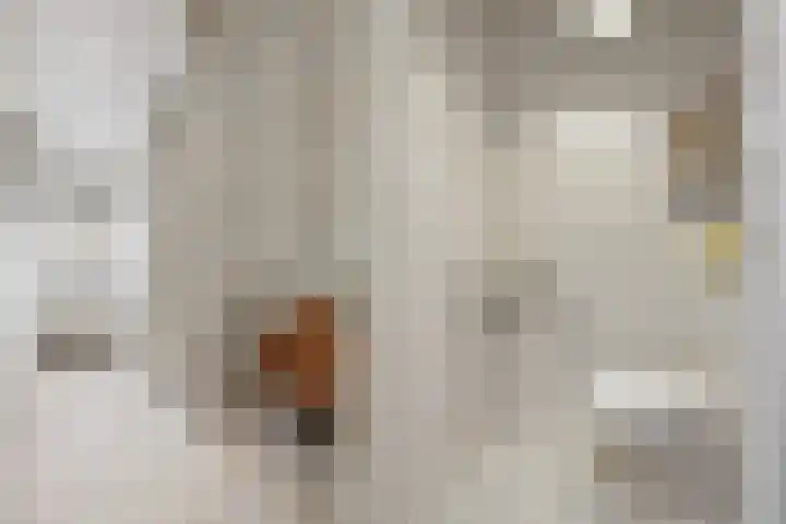 Emiliastraat 9 Geertruidenberg thumbnail 10
