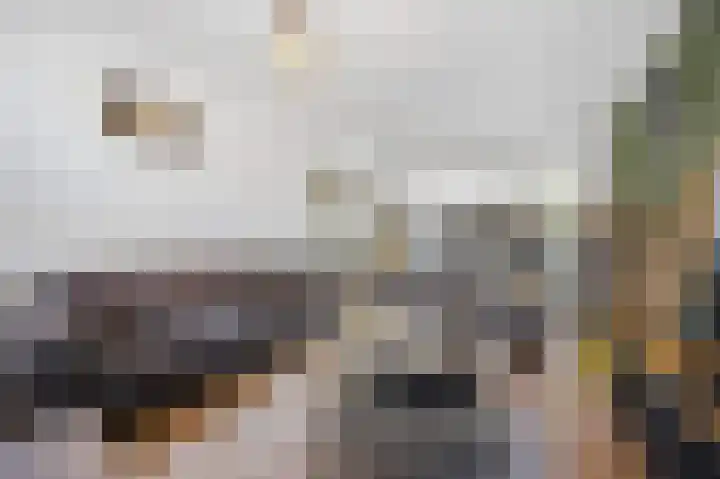 Emiliastraat 9 Geertruidenberg thumbnail 11