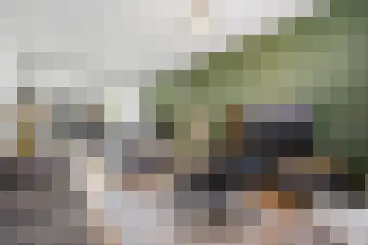 Emiliastraat 9 Geertruidenberg thumbnail 13