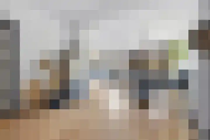 Emiliastraat 9 Geertruidenberg thumbnail 14