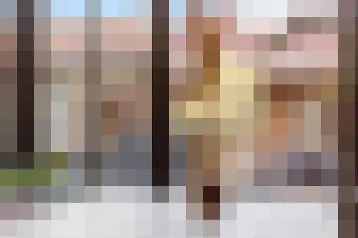 Emiliastraat 9 Geertruidenberg thumbnail 18