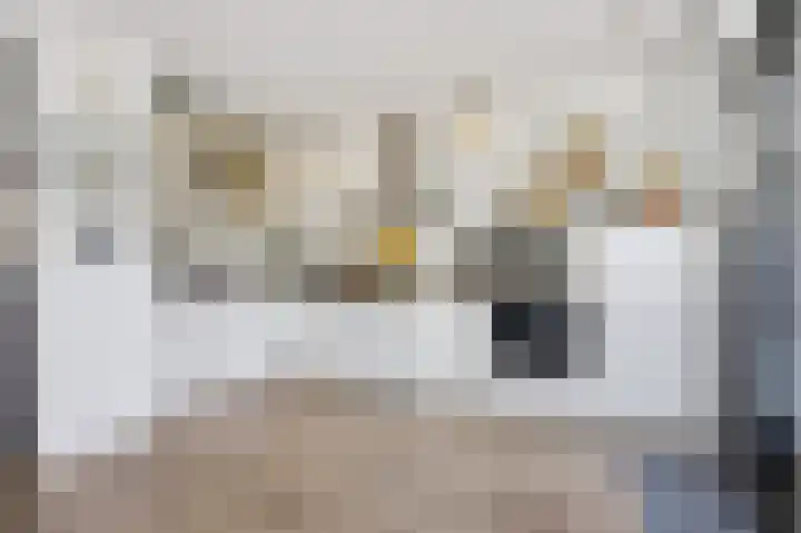 Emiliastraat 9 Geertruidenberg thumbnail 19