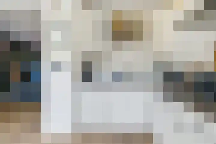 Emiliastraat 9 Geertruidenberg thumbnail 20