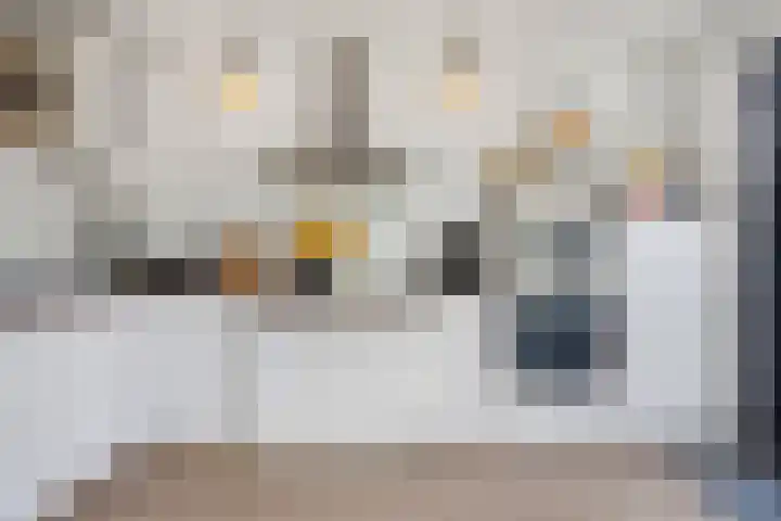 Emiliastraat 9 Geertruidenberg thumbnail 21