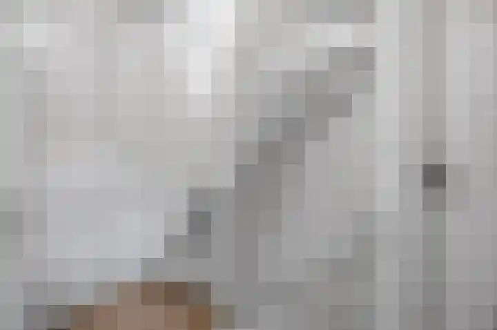 Emiliastraat 9 Geertruidenberg thumbnail 23