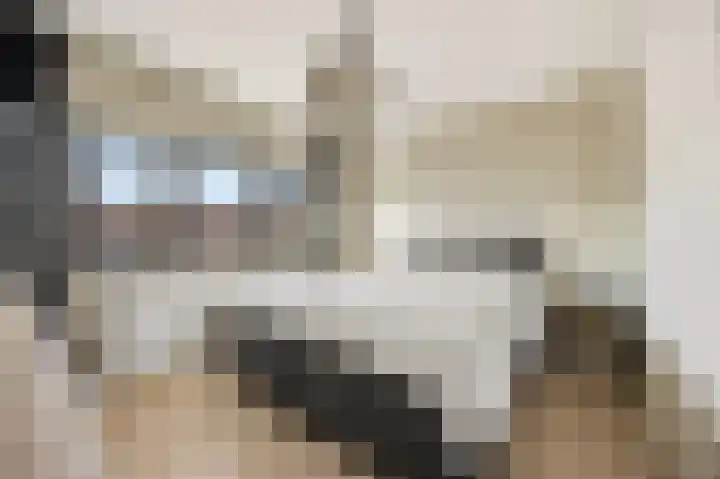 Emiliastraat 9 Geertruidenberg thumbnail 26