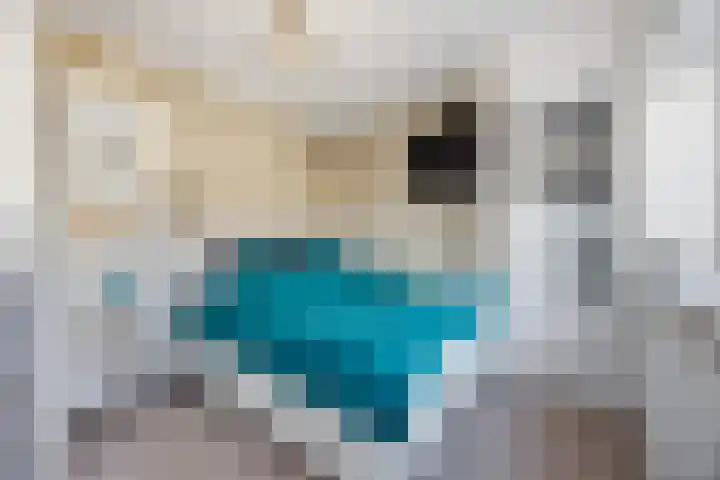Emiliastraat 9 Geertruidenberg thumbnail 29