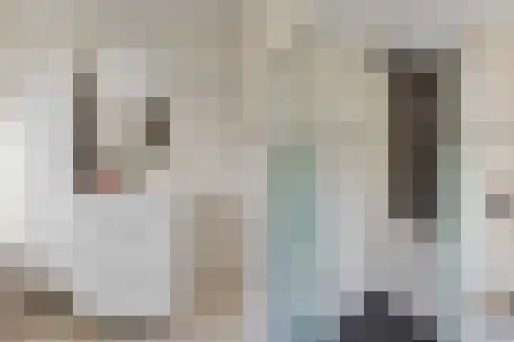 Emiliastraat 9 Geertruidenberg thumbnail 31