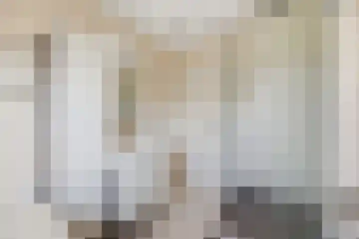 Emiliastraat 9 Geertruidenberg thumbnail 33