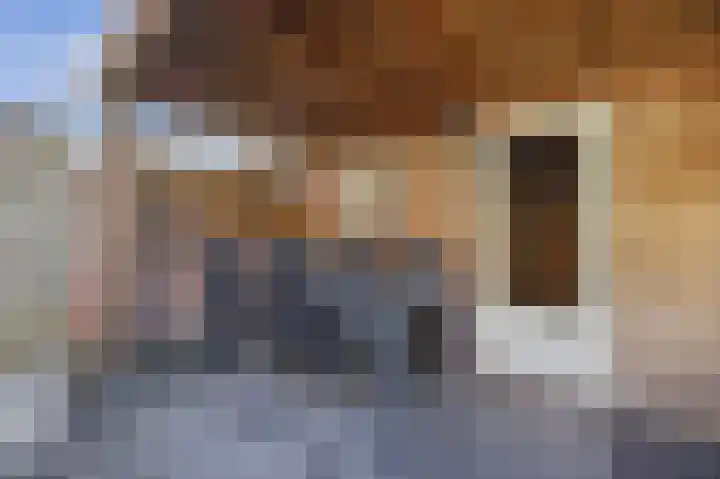 Emiliastraat 9 Geertruidenberg thumbnail 43