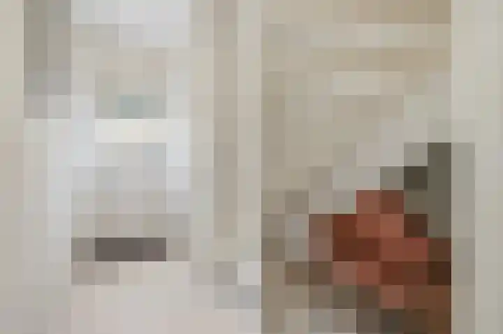 Emiliastraat 9 Geertruidenberg thumbnail 8
