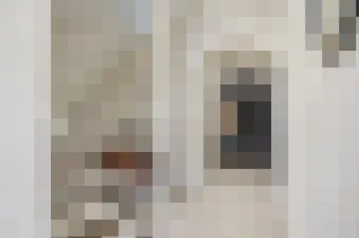 Emiliastraat 9 Geertruidenberg thumbnail 9
