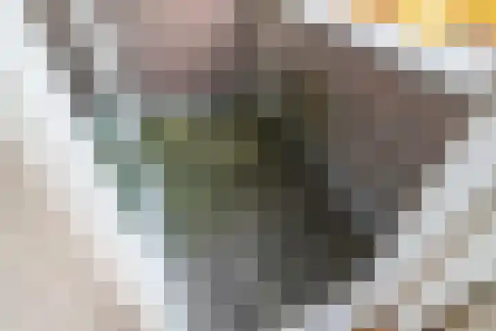 Emilie Knapperthof 21 Leiden thumbnail 12