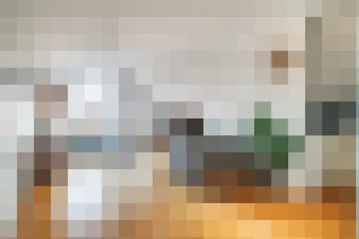 Emilie Knapperthof 21 Leiden thumbnail 4