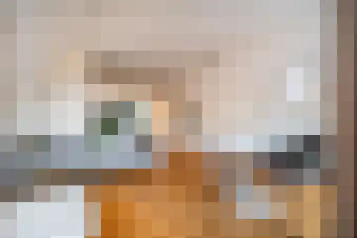 Emilie Knapperthof 21 Leiden thumbnail 5