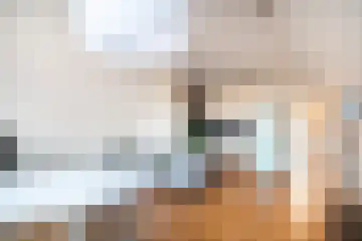 Emilie Knapperthof 21 Leiden thumbnail 6
