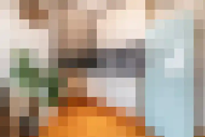 Emilie Knapperthof 21 Leiden thumbnail 7