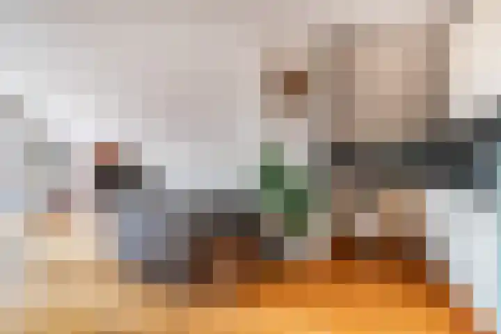 Emilie Knapperthof 21 Leiden thumbnail 8
