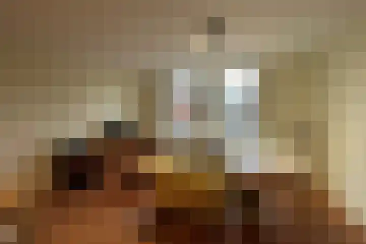 Emilie Knapperthof 4 Leiden thumbnail 11