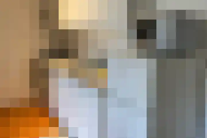 Emilie Knapperthof 4 Leiden thumbnail 20