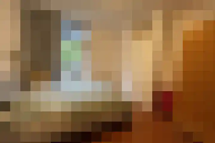 Emilie Knapperthof 4 Leiden thumbnail 30