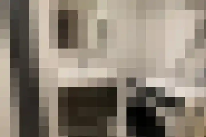 Emilie Knapperthof 4 Leiden thumbnail 31