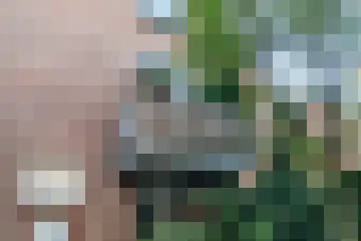 Emilie Knapperthof 4 Leiden thumbnail 34