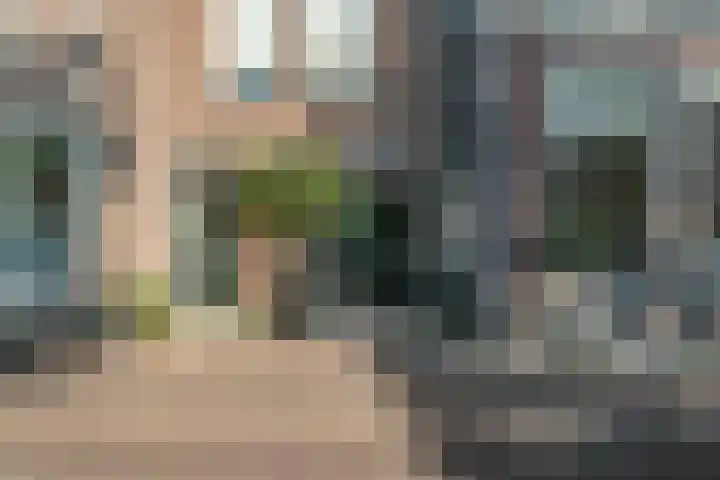 Emilie Knapperthof 4 Leiden thumbnail 35