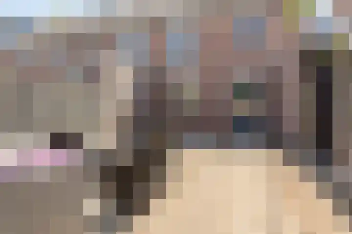 Emilie Knappertstraat 18 Rijen thumbnail 24