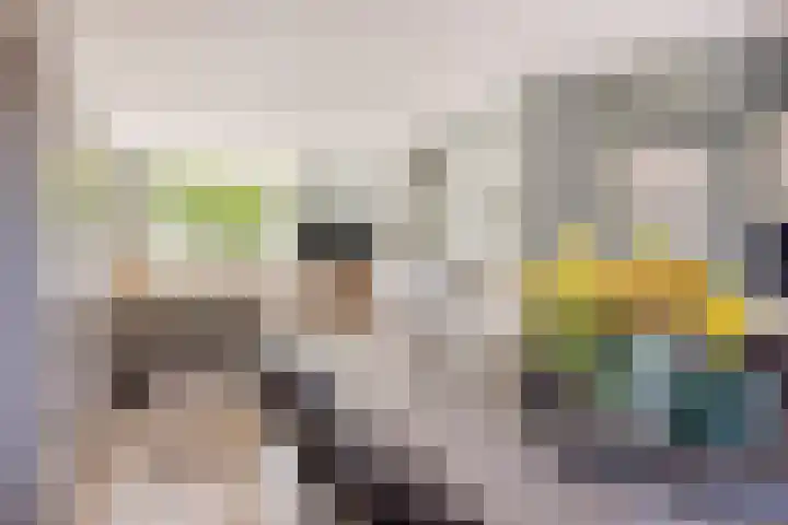 Emilie Knappertstraat 18 Rijen thumbnail 7