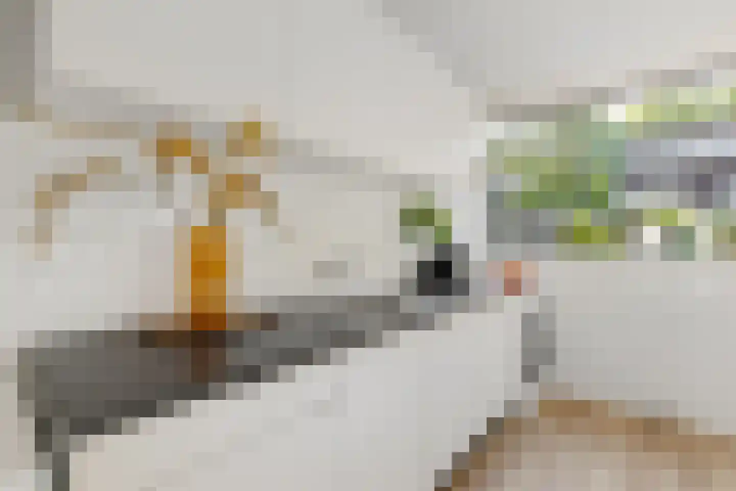 Emilie Knappertstraat 34 Haarlem thumbnail 11