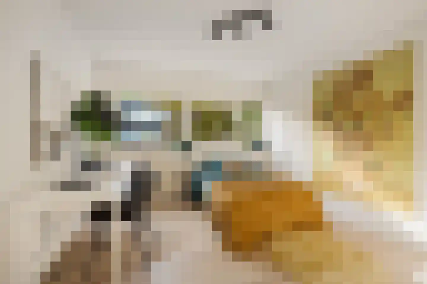 Emilie Knappertstraat 34 Haarlem thumbnail 16