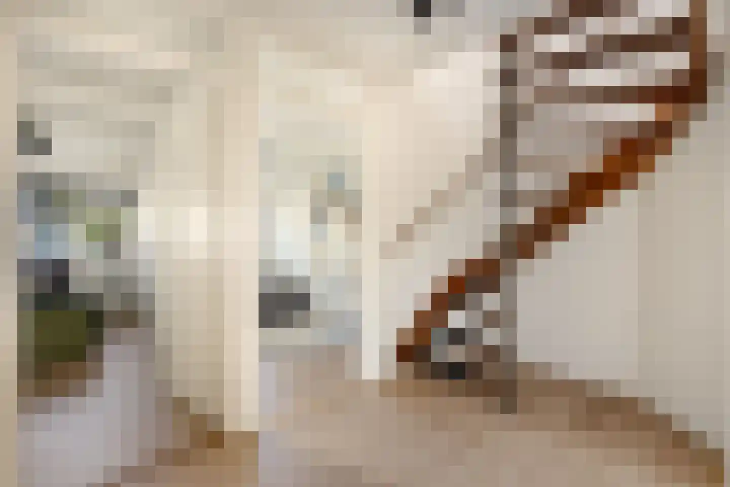 Emilie Knappertstraat 34 Haarlem thumbnail 19